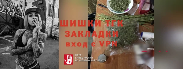 дмт Инсар