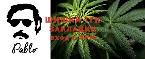 дмт Инсар