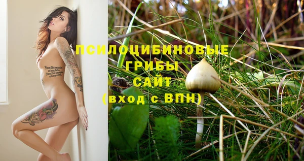 дмт Инсар