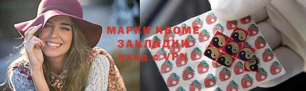 хмурый Инта
