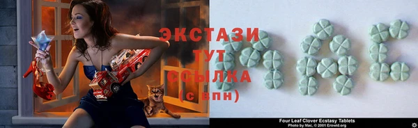 хмурый Инта