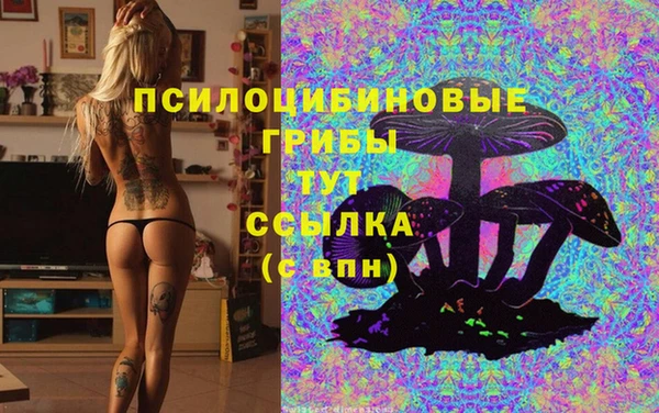 хмурый Инта