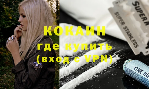 хмурый Инта