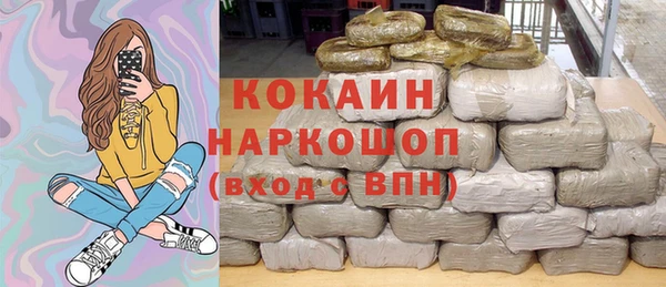 дмт Инсар