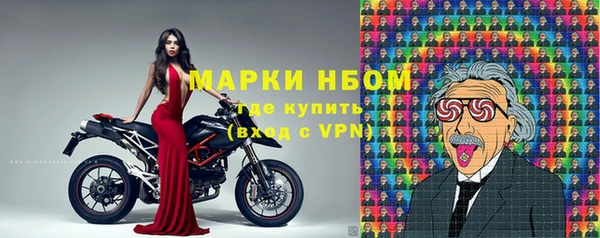 дмт Инсар