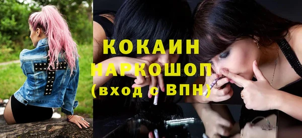 дмт Инсар