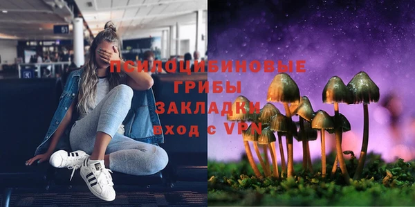 хмурый Инта