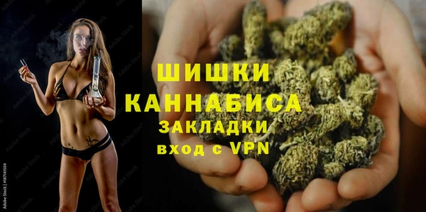 дмт Инсар