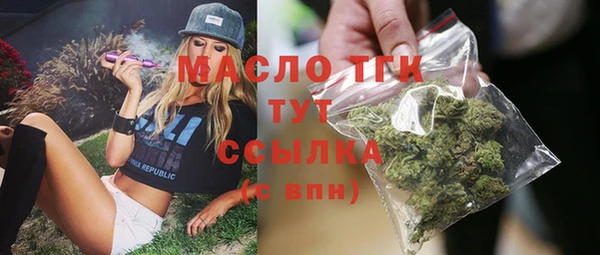 хмурый Инта