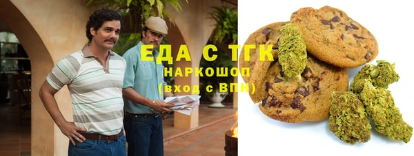 дмт Инсар