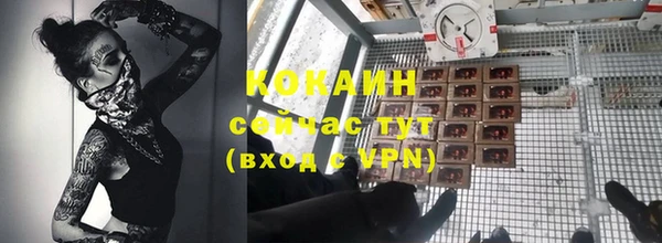 хмурый Инта