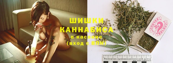 хмурый Инта