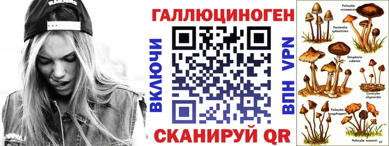 Купить где  Ступино  Псилоцибиновые грибы Psilocybe 